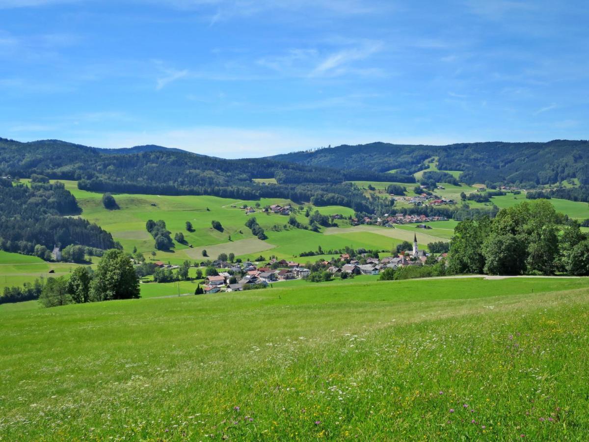 Holiday Home Mayrhofer - Mon240 By Interhome Oberwang Luaran gambar